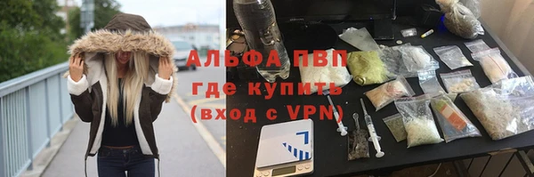 индика Вязьма