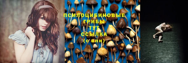 мет Вяземский