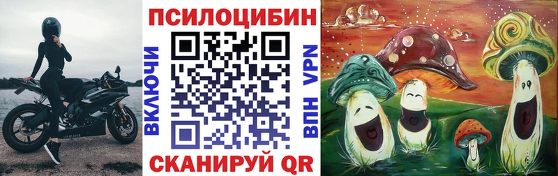 Псилоцибиновые грибы мицелий  Южа 